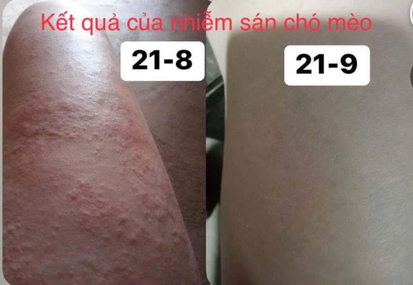 GÓI CHÌA KHÓA HỒI SINH - Ảnh 9